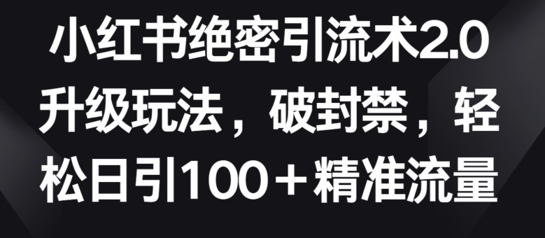 小红书绝密引流术2.0升级玩法，破封禁，轻松日引100+精准流量【揭秘】-赚金金-技能学习分享