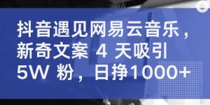 抖音遇见网易云音乐，新奇文案 4 天吸引 5W 粉，日挣1000+【揭秘】-赚金金-技能学习分享