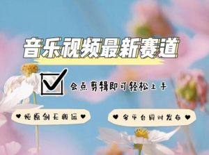 音乐视频赛道最新玩法，纯原创不违规，可所有平台同时发布，会点剪辑即可轻松拿捏【揭秘】-赚金金-技能学习分享