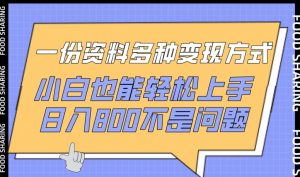 一份资料多种变现方式,小白也能轻松上手,日入800不是问题【揭秘】-赚金金-技能学习分享