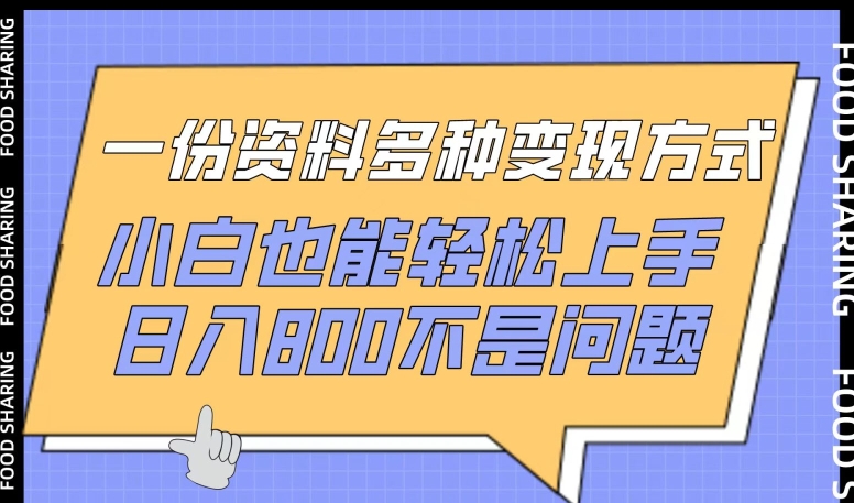 一份资料多种变现方式，小白也能轻松上手，日入800不是问题【揭秘】-赚金金-技能学习分享