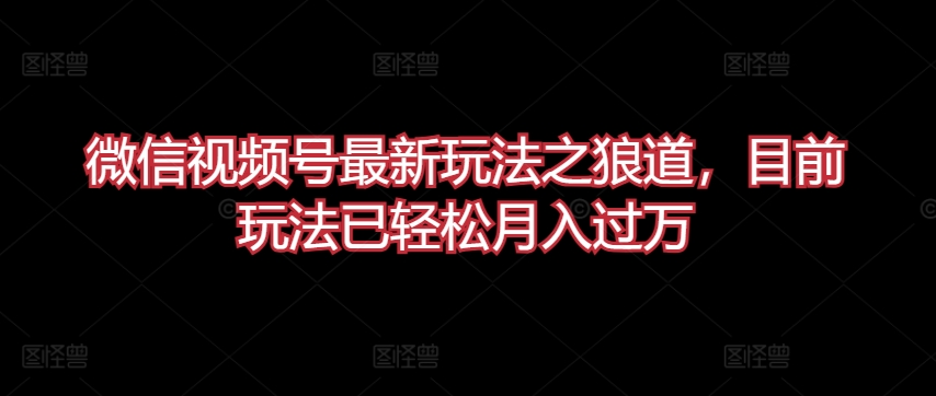 微信视频号最新玩法之狼道，目前玩法已轻松月入过万【揭秘】-赚金金-技能学习分享