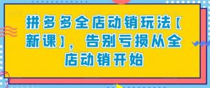 拼多多全店动销玩法【新课】,告别亏损从全店动销开始-赚金金-技能学习分享