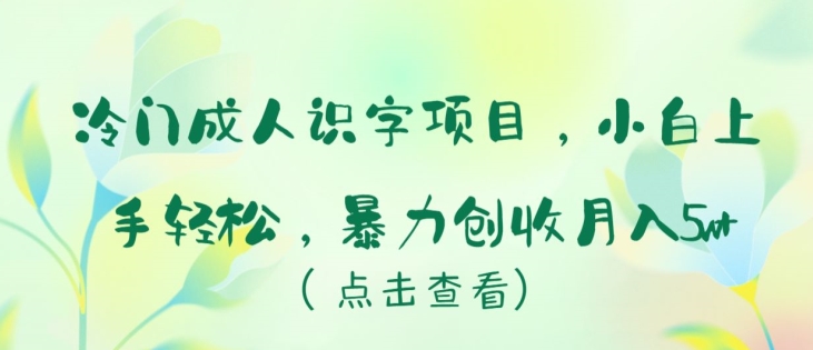 冷门成人识字项目，小白上手轻松，暴力创收月入5w+【揭秘】-赚金金-技能学习分享