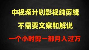 中视频计划影视纯剪辑,不需要文案和解说,一个小时剪一部,100%过原创月入过万【揭秘】-赚金金-技能学习分享