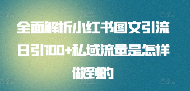 全面解析小红书图文引流日引100+私域流量是怎样做到的【揭秘】-赚金金-技能学习分享