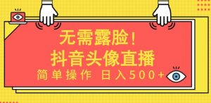 无需露脸,Ai头像直播项目,简单操作日入500+【揭秘】-赚金金-技能学习分享