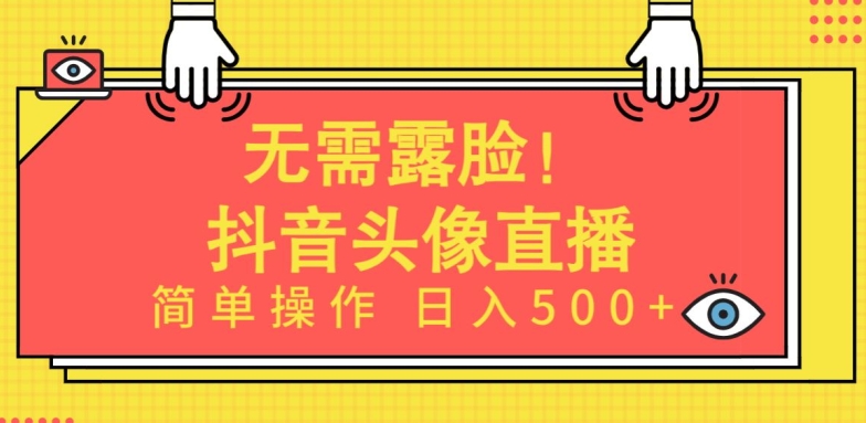 无需露脸，Ai头像直播项目，简单操作日入500+【揭秘】-赚金金-技能学习分享