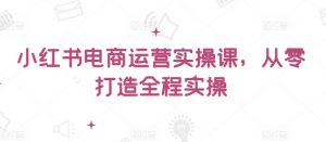 小红书电商运营实操课,从零打造全程实操-赚金金-技能学习分享