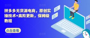 拼多多无货源电商，原创实操技术+高阶更新，保姆级教程-赚金金-技能学习分享