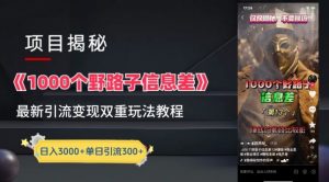 一千个野路子信息差最新玩法教程-变现+引流的玩法具体拆解【揭秘】-赚金金-技能学习分享