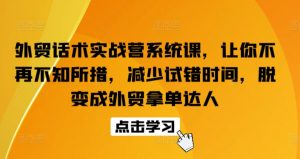外贸话术实战营系统课，让你不再不知所措，减少试错时间，脱变成外贸拿单达人-赚金金-技能学习分享