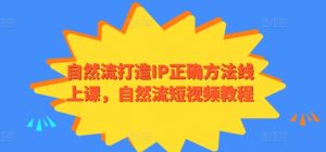 自然流打造IP正确方法线上课，自然流短视频教程-赚金金-技能学习分享