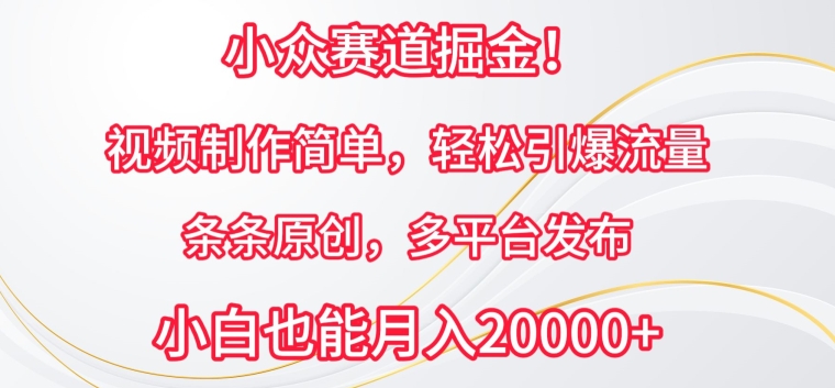 小众赛道掘金，视频制作简单，轻松引爆流量，条条原创，多平台发布【揭秘】-赚金金-技能学习分享