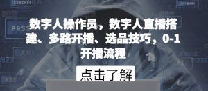数字人操作员,数字人直播搭建、多路开播、选品技巧,0-1开播流程-赚金金-技能学习分享
