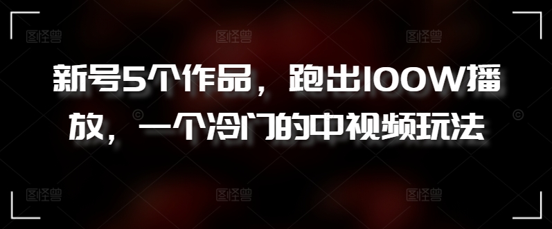 新号5个作品，跑出100W播放，一个冷门的中视频玩法【揭秘】-赚金金-技能学习分享