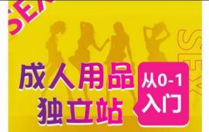 成人用品独立站从0-1入门,成品独立站运营全流程教学,七大好卖成品独立站推荐-赚金金-技能学习分享