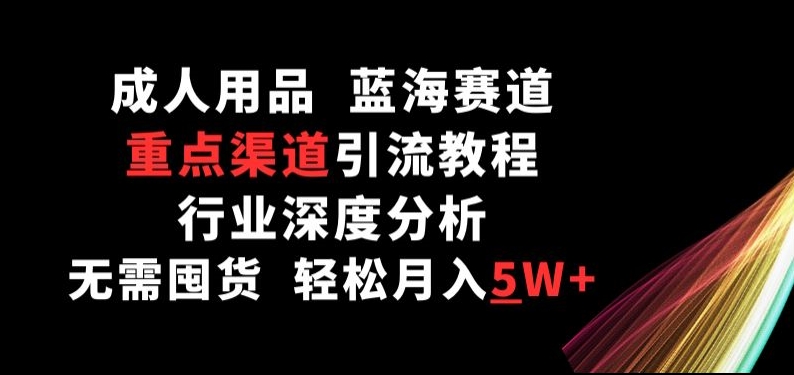 成人用品，蓝海赛道，重点渠道引流教程，行业深度分析，无需囤货，轻松月入5W+【揭秘】-赚金金-技能学习分享