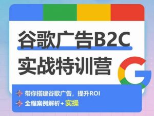谷歌广告B2C实战特训营,500+谷歌账户总结经验,实战演示如何从0-1搭建广告账户-赚金金-技能学习分享