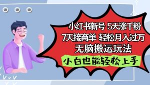 小红书影视泥巴追剧5天涨千粉,7天接商单,轻松月入过万,无脑搬运玩法【揭秘】-赚金金-技能学习分享