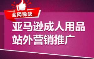 亚马逊成人用品站外营销推广,成人用品新品推广方案,助力打造类目爆款-赚金金-技能学习分享