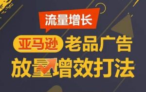 流量增长 亚马逊老品广告放量增效打法,短期内广告销量翻倍-赚金金-技能学习分享