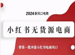 2024新风口电商，小红书无货源电商，带第一批冲进小红书电商风口-赚金金-技能学习分享