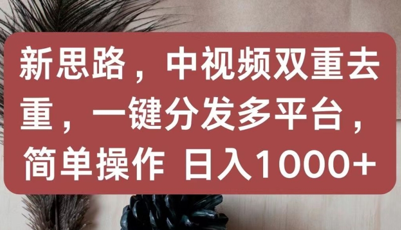 新思路，中视频双重去重，一键分发多平台，简单操作，日入1000+【揭秘】-赚金金-技能学习分享