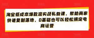 淘宝低成本爆款流实战私教课，帮助商家快速复制落地，0基础也可以轻松搞定电商运营-赚金金-技能学习分享