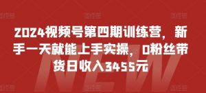 2024视频号第四期训练营,新手一天就能上手实操,0粉丝带货日收入3455元-赚金金-技能学习分享
