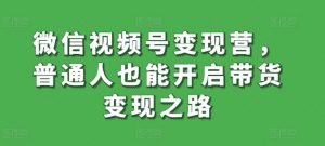 微信视频号变现营，普通人也能开启带货变现之路-赚金金-技能学习分享