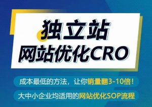 独立站网站优化CRO,成本最低的方法,让你销量翻3-10倍-赚金金-技能学习分享