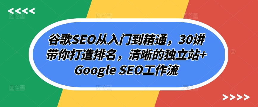 谷歌SEO从入门到精通，30讲带你打造排名，清晰的独立站+Google SEO工作流-赚金金-技能学习分享