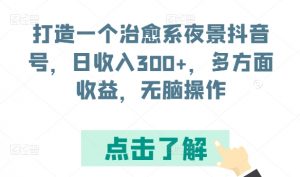 打造一个治愈系夜景抖音号,日收入300+,多方面收益,无脑操作【揭秘】-赚金金-技能学习分享
