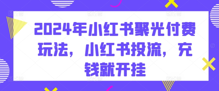 2024年小红书聚光付费玩法，小红书投流，充钱就开挂-赚金金-技能学习分享