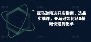 亚马逊精选开店指南,选品实战课,亚马逊如何从0基础快速到出单-赚金金-技能学习分享