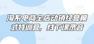 淘系电商全店动销经营模式特训营,线下课录音-赚金金-技能学习分享