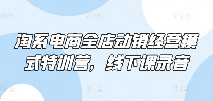 淘系电商全店动销经营模式特训营，线下课录音-赚金金-技能学习分享