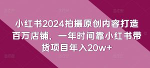 小红书2024拍摄原创内容打造百万店铺,一年时间靠小红书带货项目年入20w+-赚金金-技能学习分享