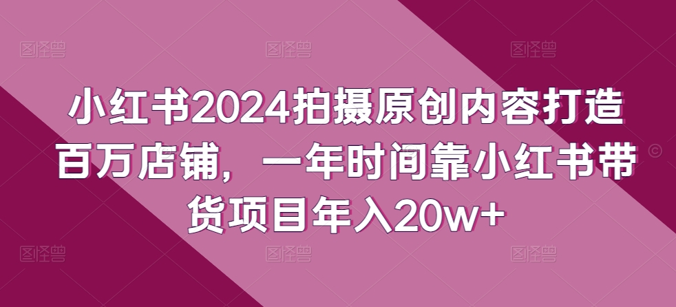 小红书2024拍摄原创内容打造百万店铺，一年时间靠小红书带货项目年入20w+-赚金金-技能学习分享