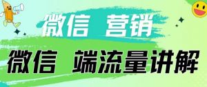 4.19日内部分享《微信营销流量端口》微信付费投流【揭秘】-赚金金-技能学习分享