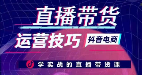 直播带货运营技巧,学实战的直播带货课-赚金金-技能学习分享