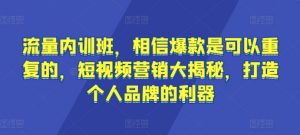 流量内训班,相信爆款是可以重复的,短视频营销大揭秘,打造个人品牌的利器-赚金金-技能学习分享