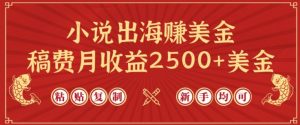 小说出海赚美金,稿费月收益2500+美金,仅需chatgpt粘贴复制,新手也能玩转【揭秘】-赚金金-技能学习分享