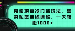 男粉项目冷门新玩法，售卖私密训练课程，一天轻松1000+【揭秘】-赚金金-技能学习分享