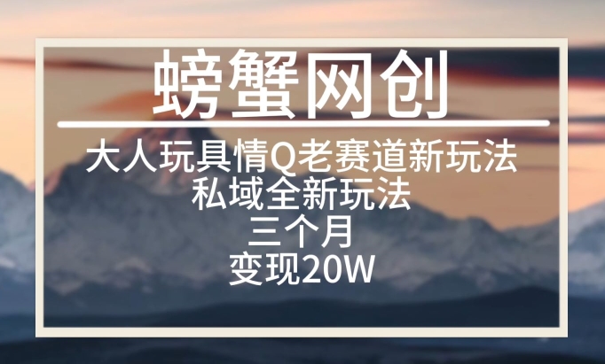大人玩具情Q用品赛道私域全新玩法，三个月变现20W，老项目新思路【揭秘】-赚金金-技能学习分享