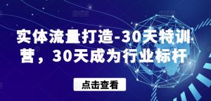实体流量打造-30天特训营,30天成为行业标杆-赚金金-技能学习分享
