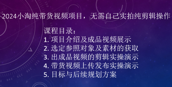 2024小淘纯带货视频项目，无需自己实拍纯剪辑操作-赚金金-技能学习分享