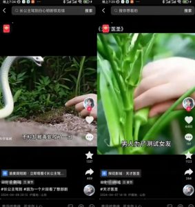 抖音卡章节搬运:短剧搬运术,百分百过抖,一比一搬运,只能安卓【揭秘】-赚金金-技能学习分享