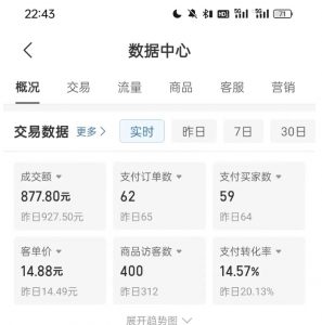 拼多多虚拟U盘电商红利项目：月赚2万+，新手小白也能玩-赚金金-技能学习分享